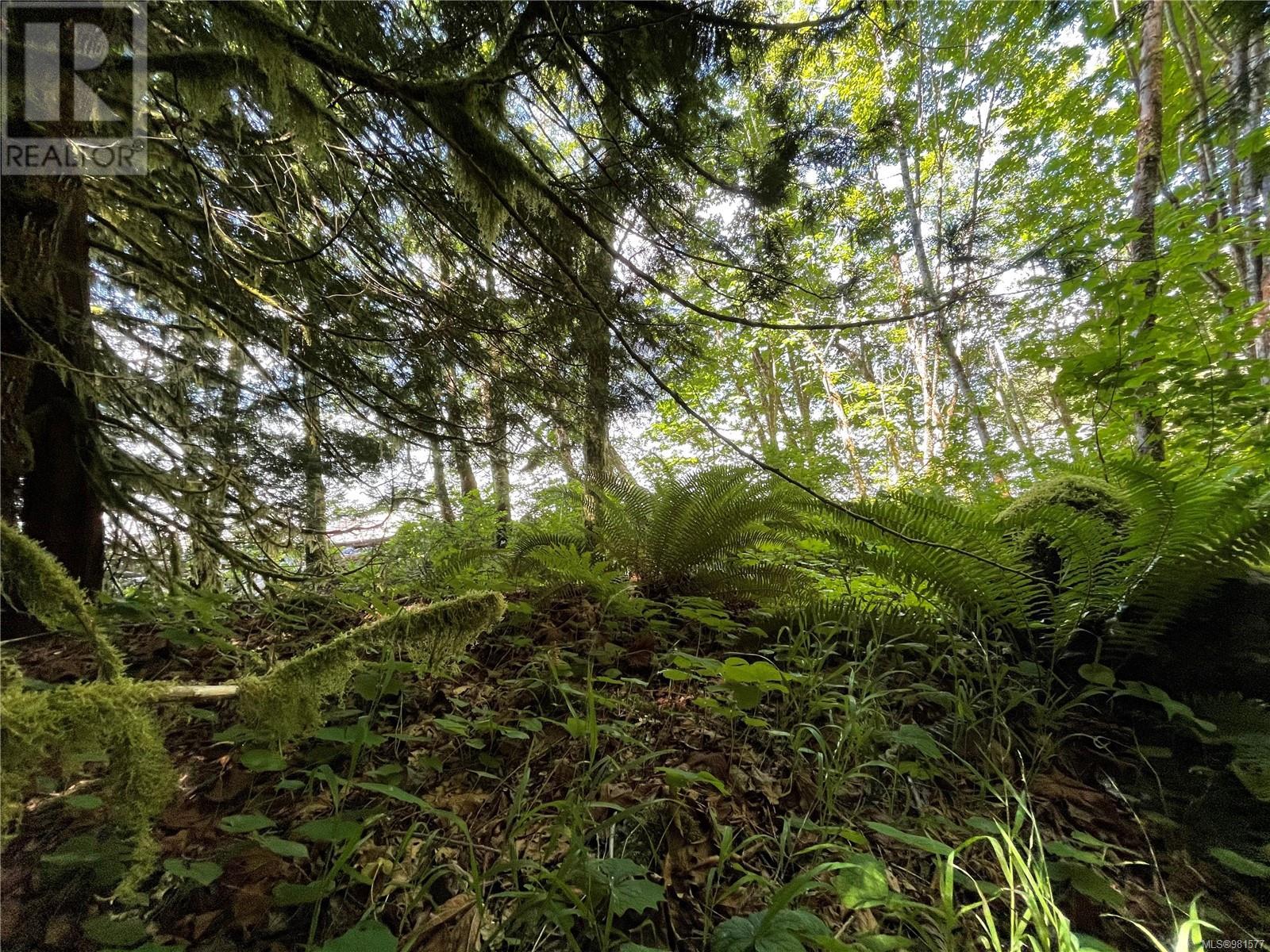 Dl108 Bute Inlet Property Photo 5