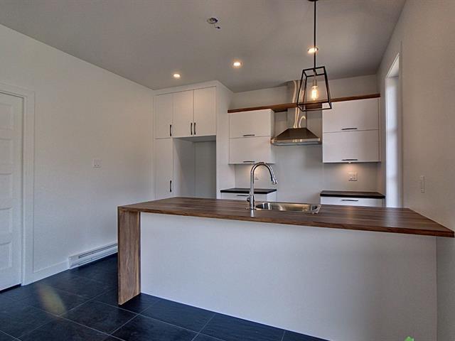 Rue Guy-linteau Property Photo 2