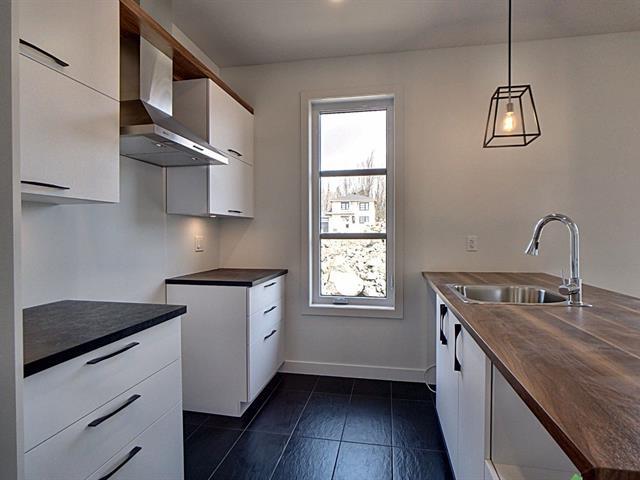 Rue Guy-linteau Property Photo 3