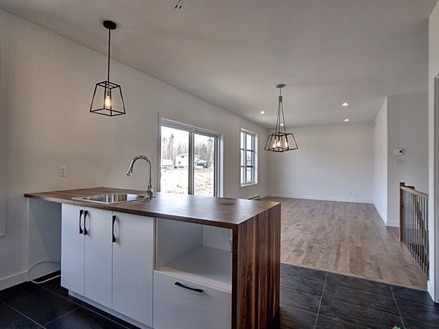 Rue Guy-linteau Property Photo 4