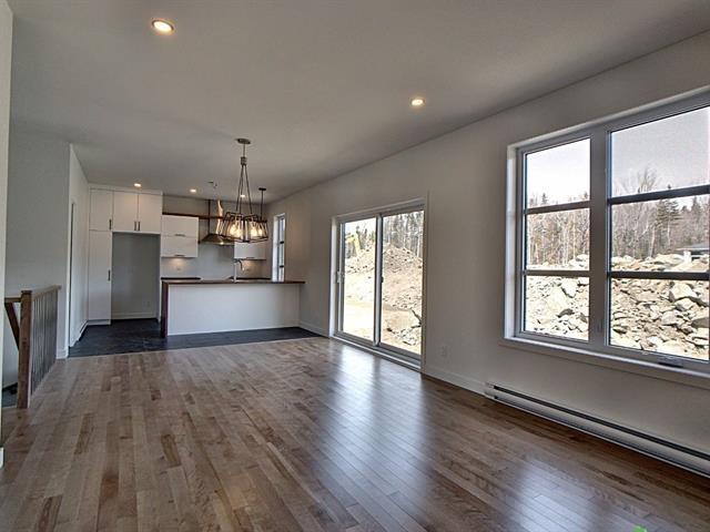 Rue Guy-linteau Property Photo 7