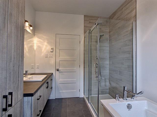 Rue Guy-linteau Property Photo 8