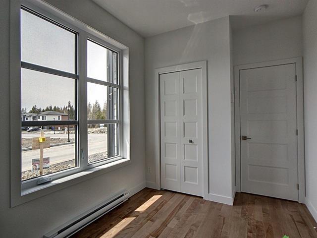 Rue Guy-linteau Property Photo 9