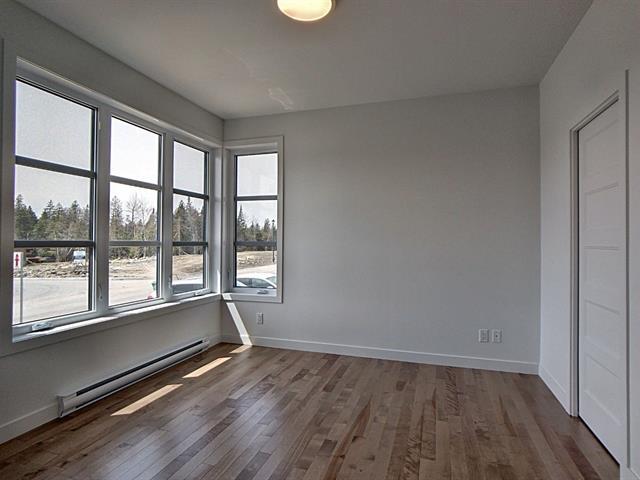 Rue Guy-linteau Property Photo 10