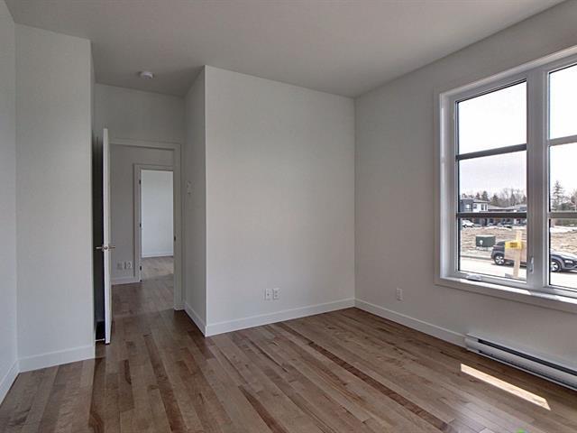 Rue Guy-linteau Property Photo 11