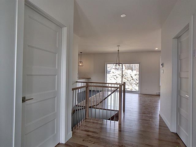 Rue Guy-linteau Property Photo 13