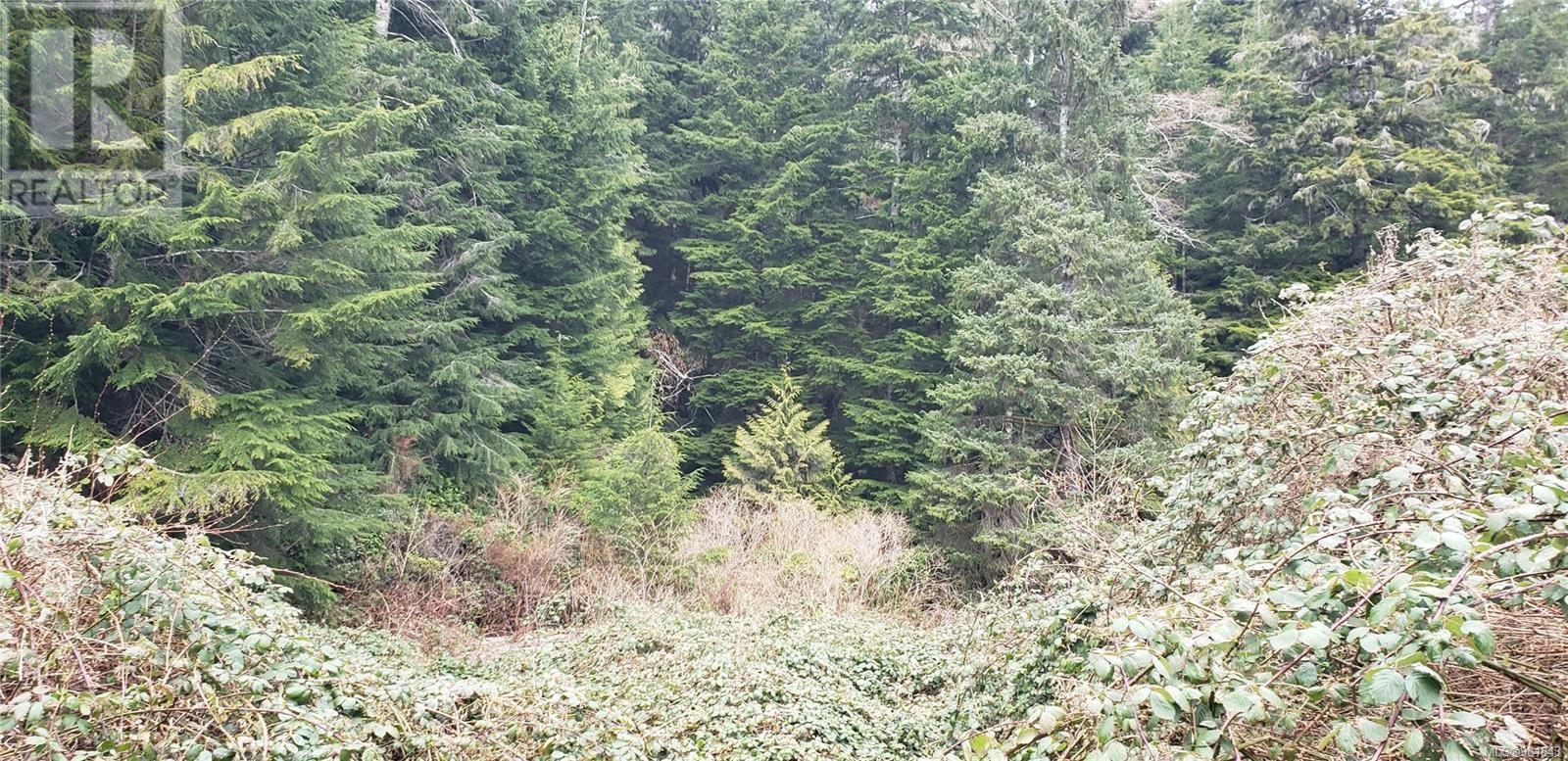 Lot 17 Haggard Cove Property Photo 1