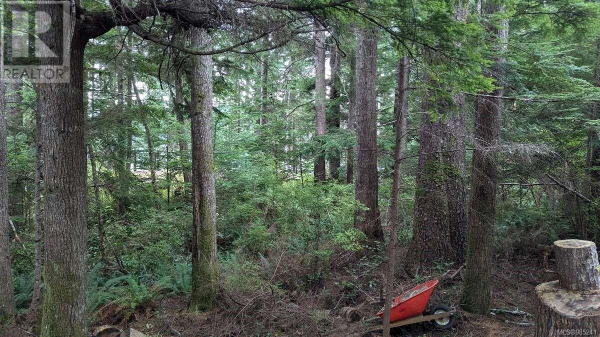 542e Larch St Property Photo 10