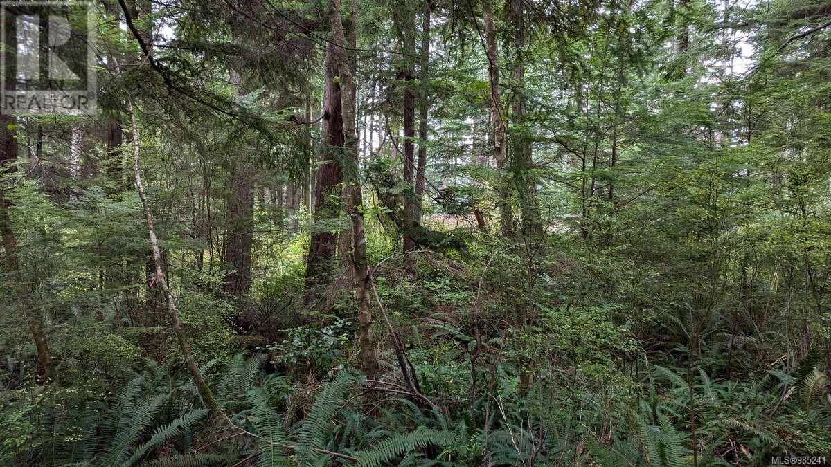 542e Larch St Property Photo 13