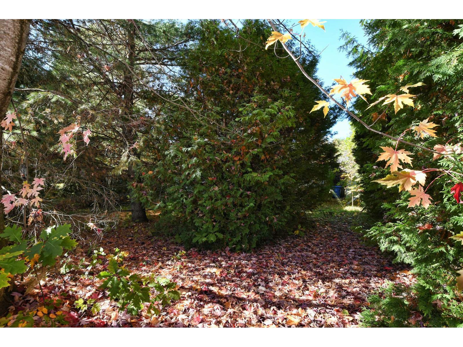 389 Rue Gagné Property Photo 38