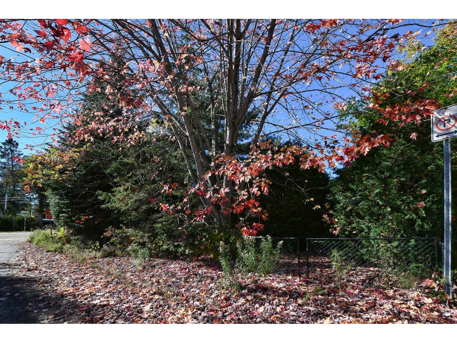 389 Rue Gagné Property Photo 46