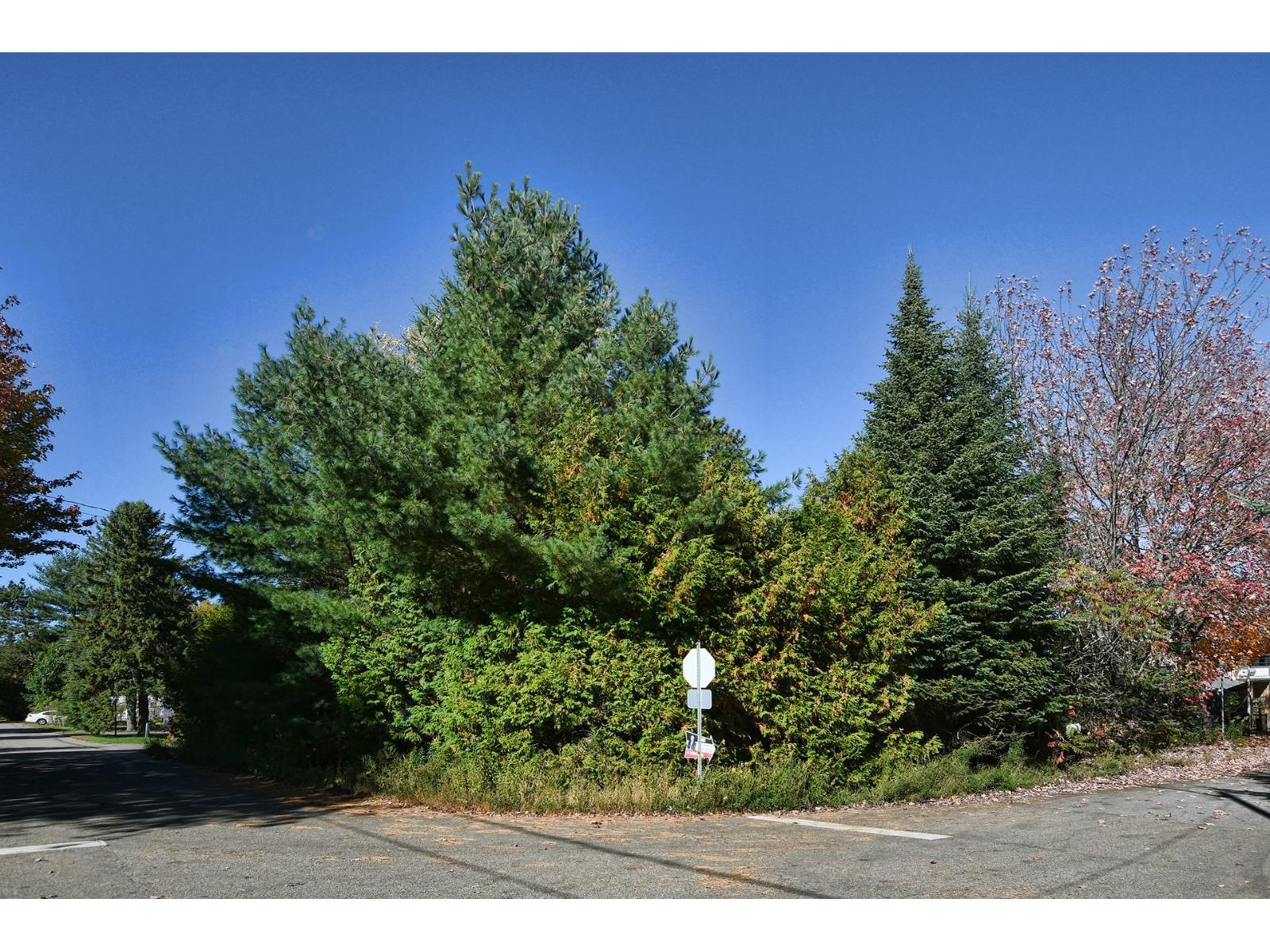 389 Rue Gagné Property Photo 47