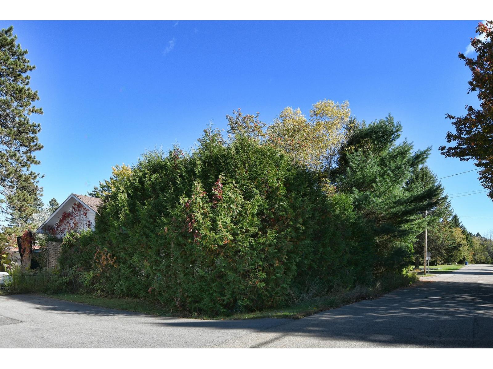 389 Rue Gagné Property Photo 48