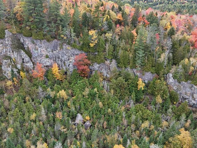 Ch. Du Lac-canadien Property Photo 3