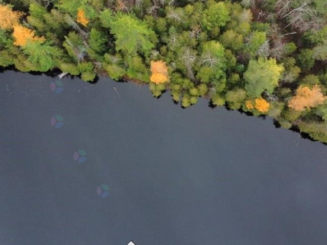 Ch. Du Lac-canadien Property Photo 8