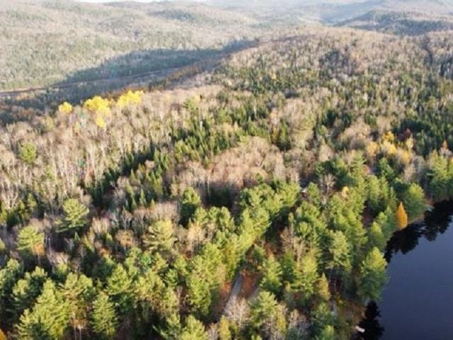 Ch. Du Lac-canadien Property Photo 9