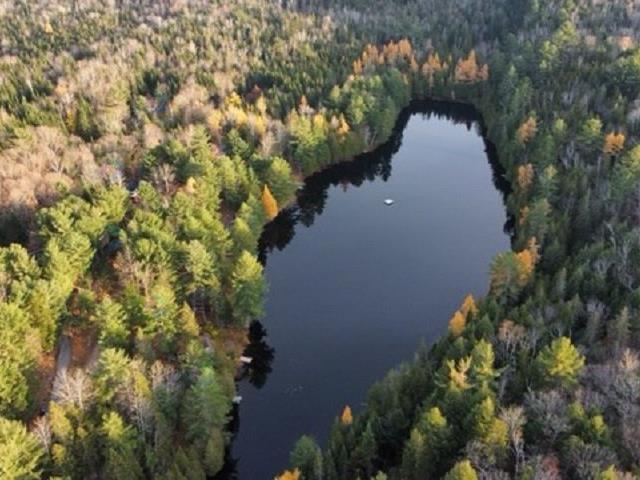Ch. Du Lac-canadien Property Photo 10