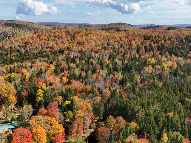 Ch. Du Lac-canadien Property Photo 11