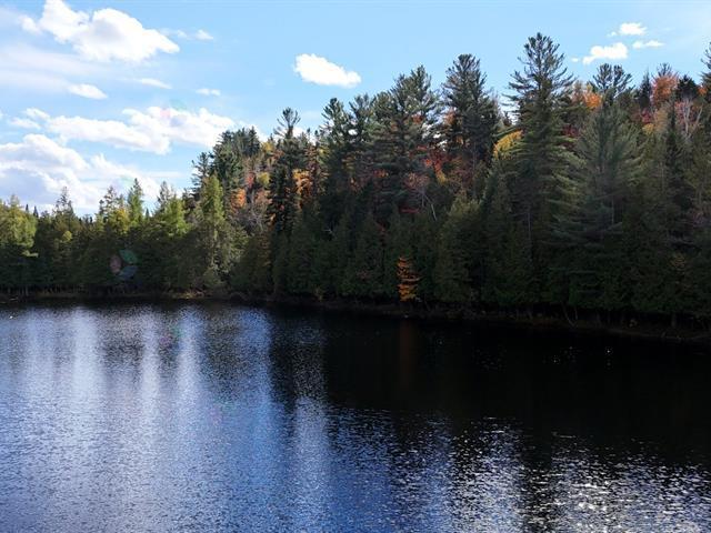 Ch. Du Lac-canadien Property Photo 13