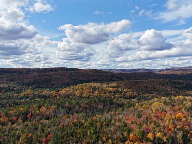 Ch. Du Lac-canadien Property Photo 18