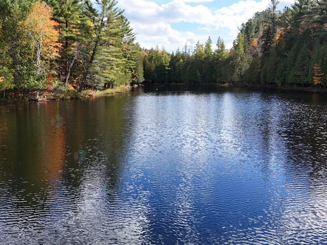 Ch. Du Lac-canadien Property Photo 24