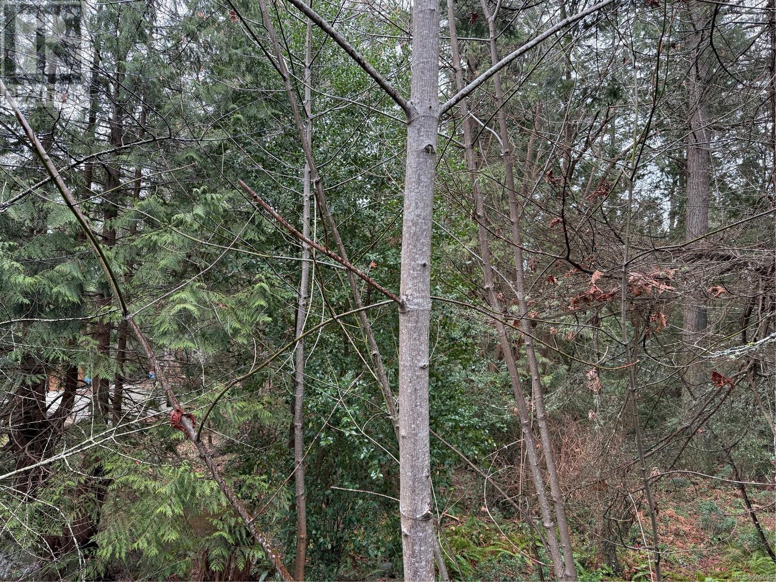 28 Captain Morgans Blvd Property Photo 23