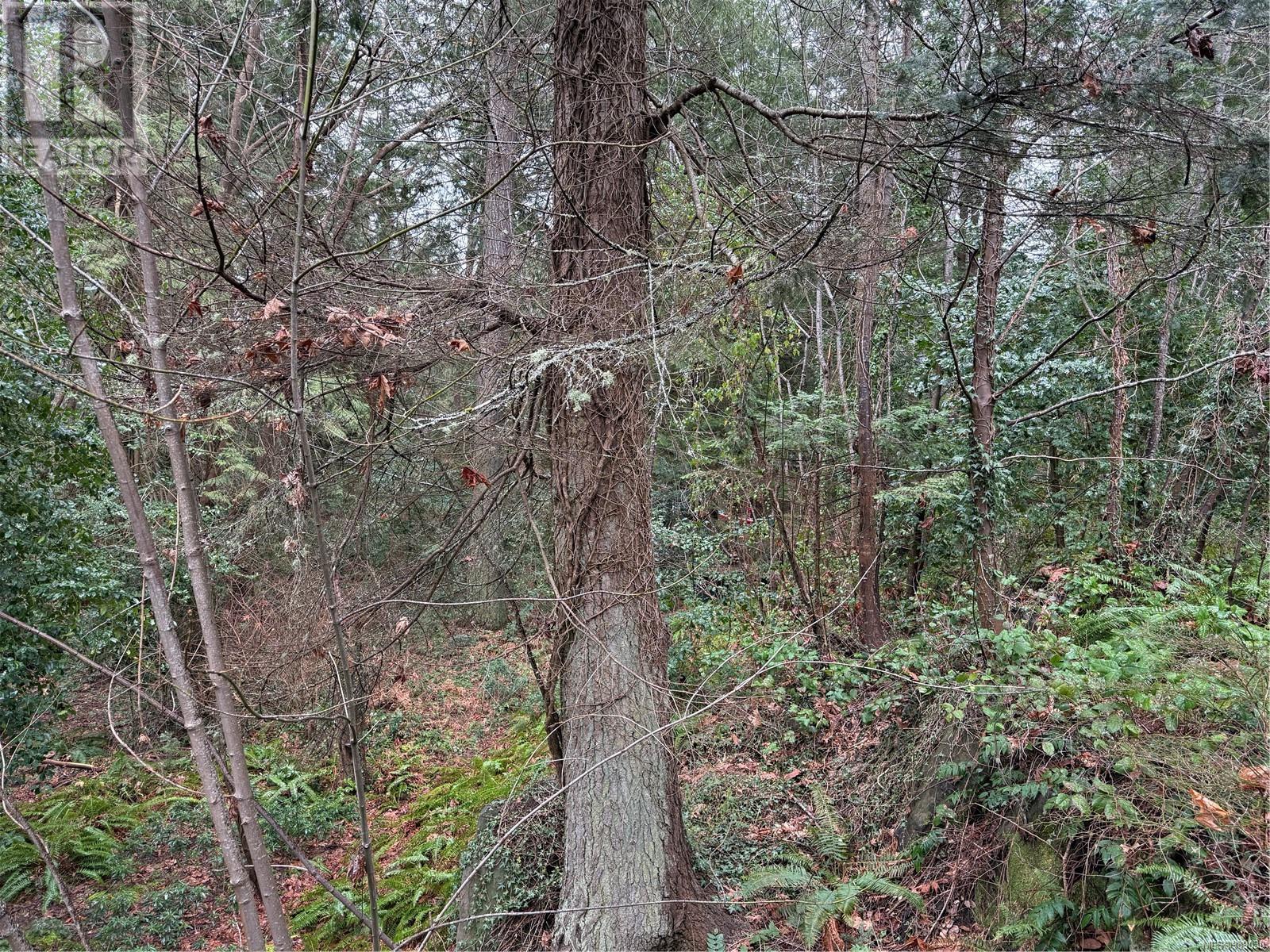 28 Captain Morgans Blvd Property Photo 24