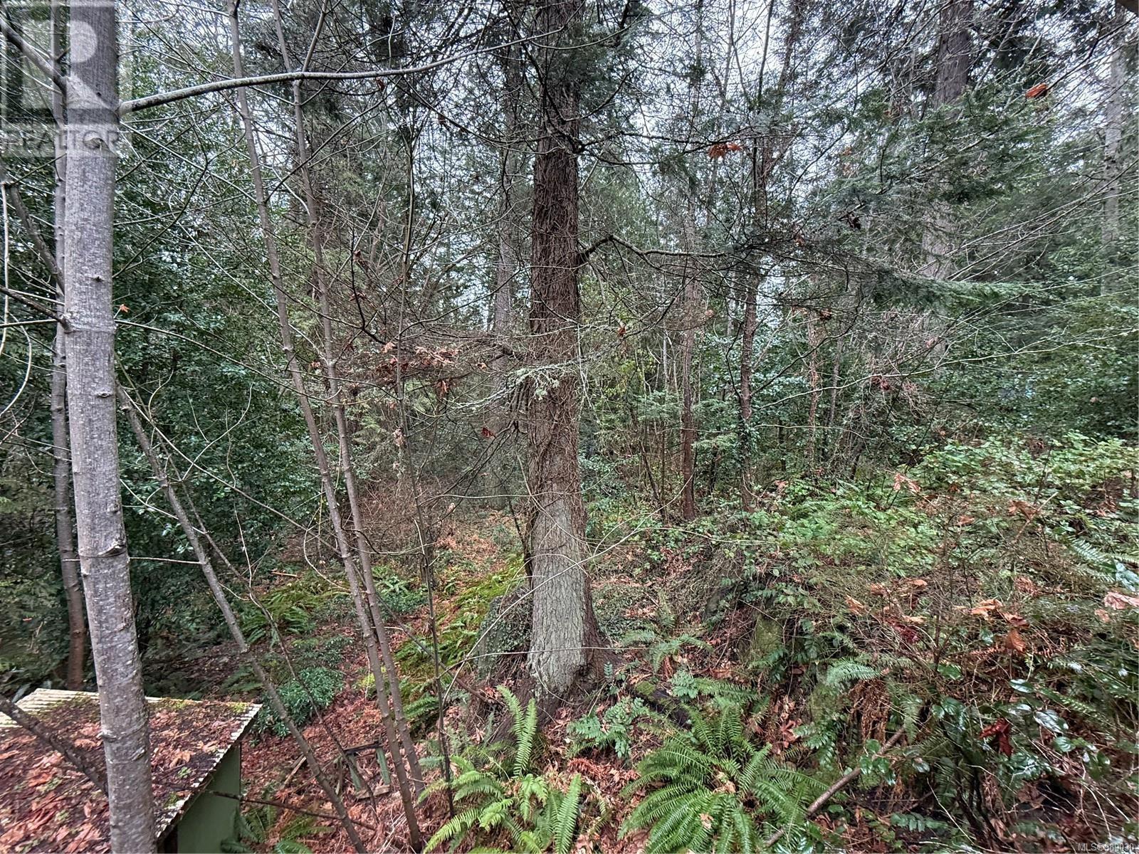 28 Captain Morgans Blvd Property Photo 25
