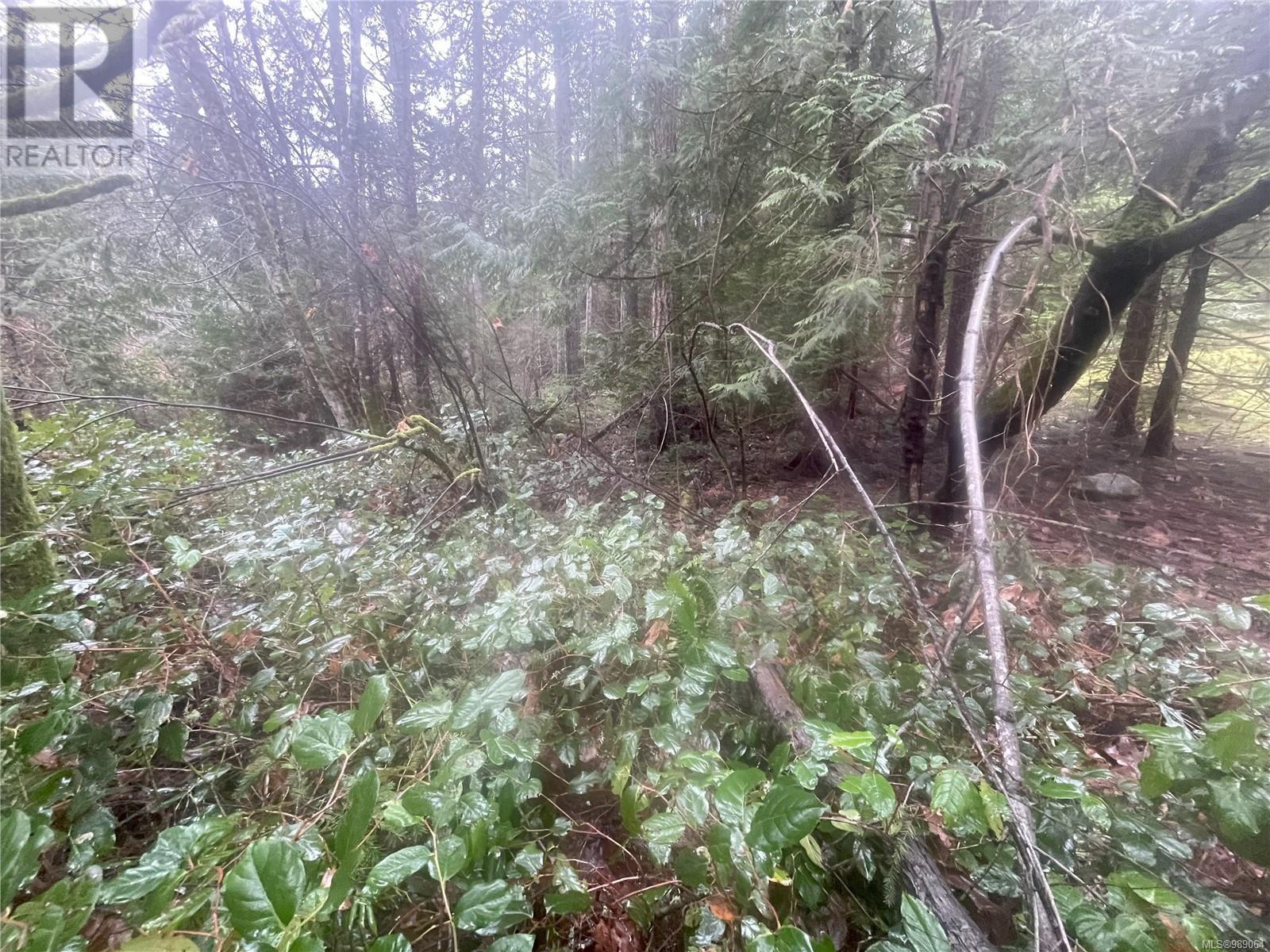 Lot 2 Spruce Ave Property Photo 1