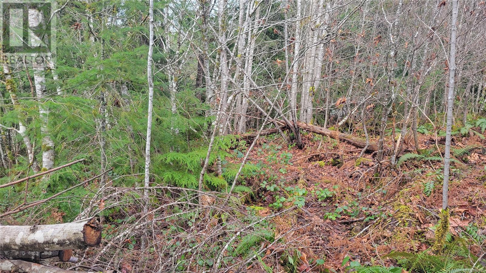 10345 Bishop Dr Property Photo 2