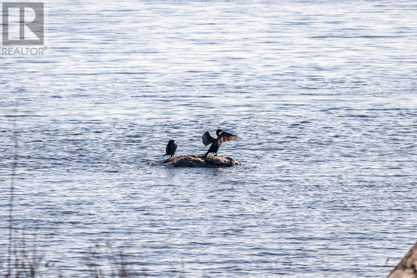 536 Island Highway #301 Property Photo 50