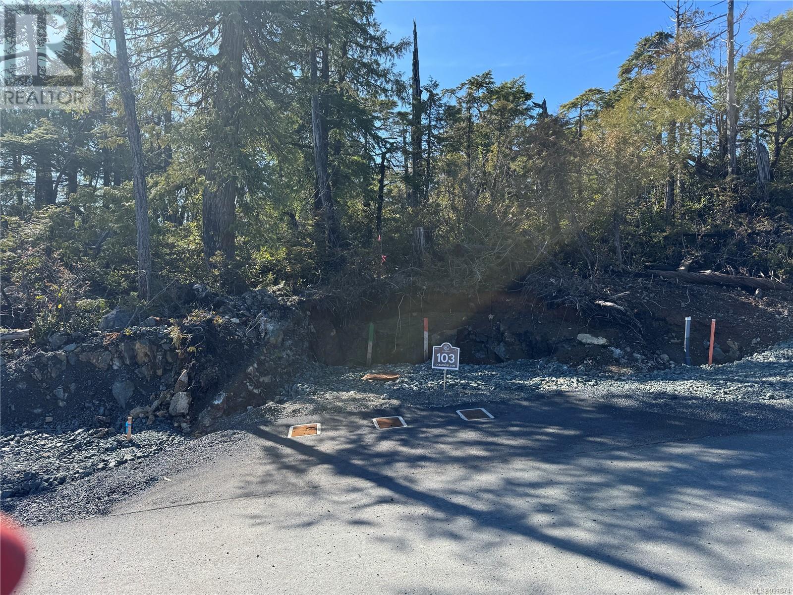 Lot 103 Shore Pine Dr Property Photo 1