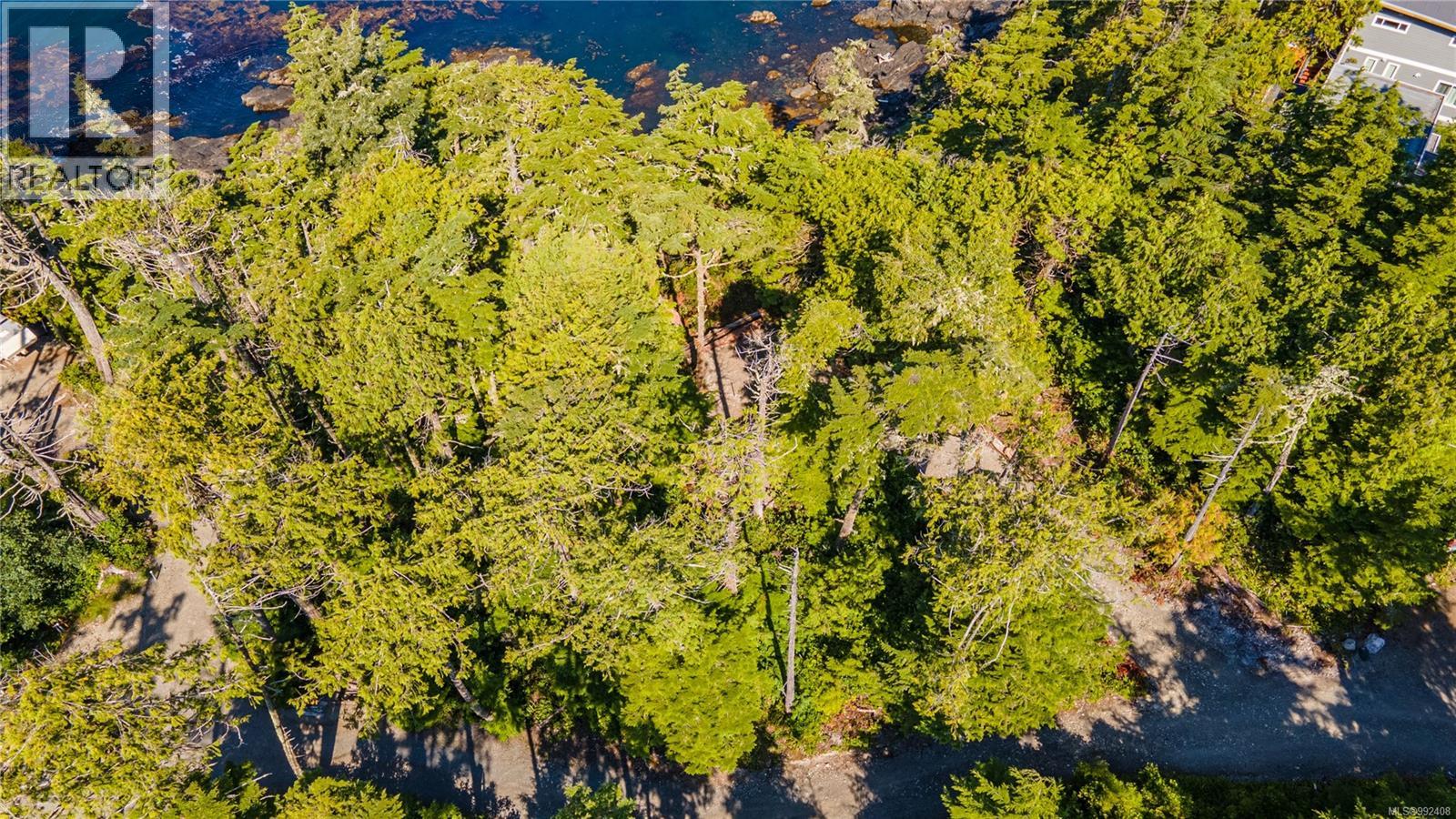 392 Reef Point Rd Property Photo 13