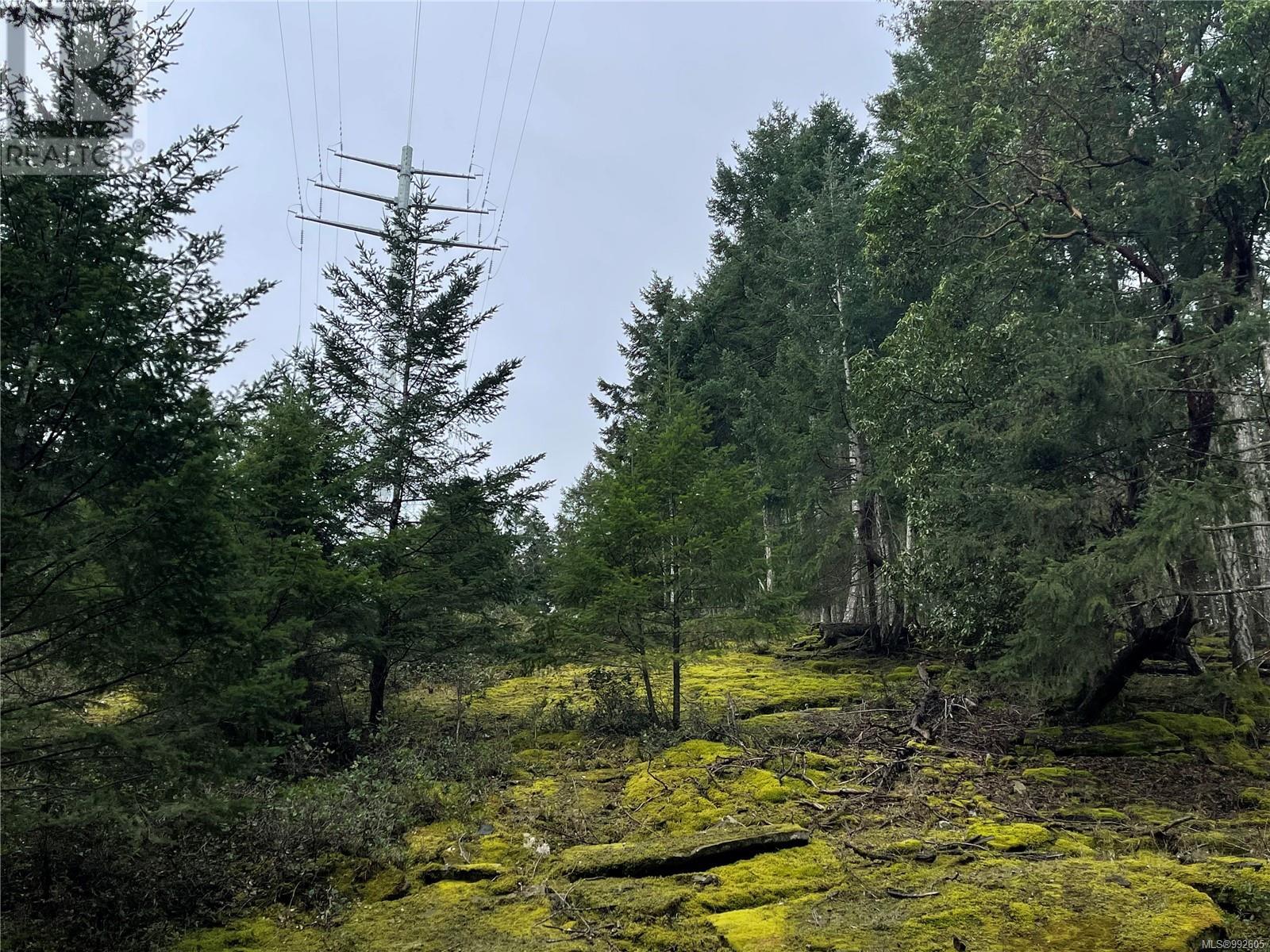 299 Coho Blvd Property Photo 12