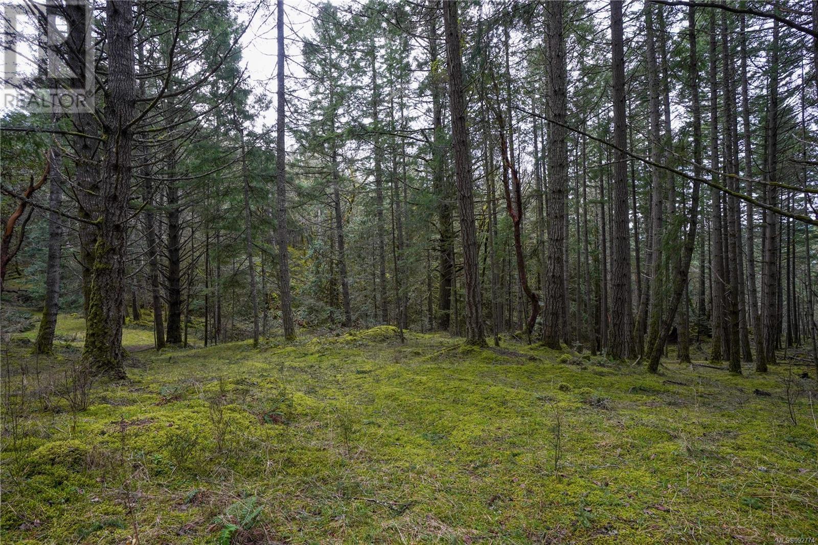 Lot A Viart Rd Property Photo 6