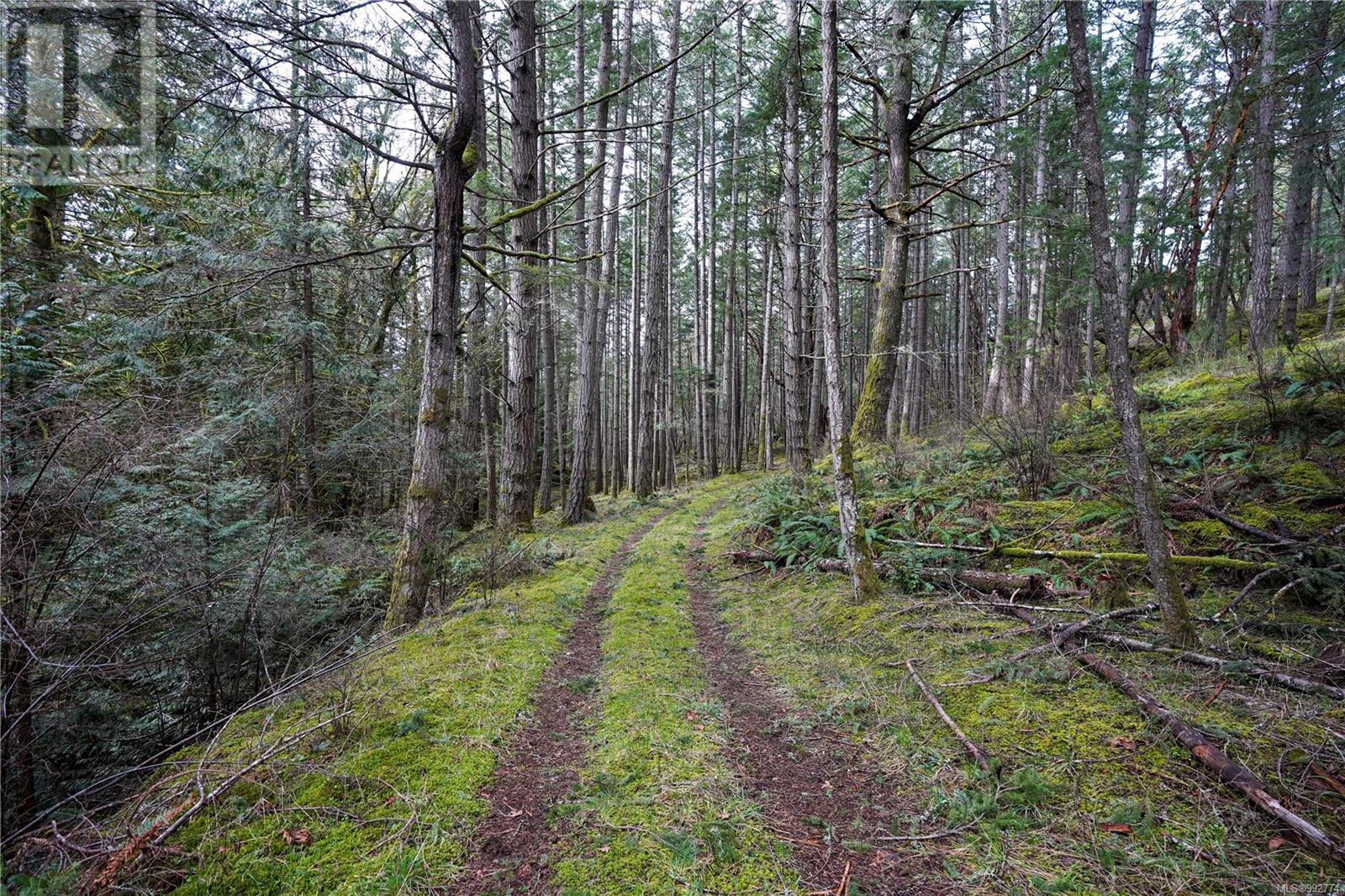 Lot A Viart Rd Property Photo 18