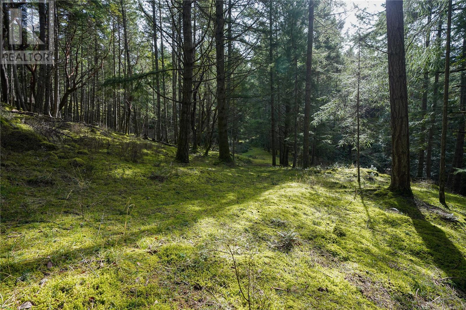 Lot A Viart Rd Property Photo 21