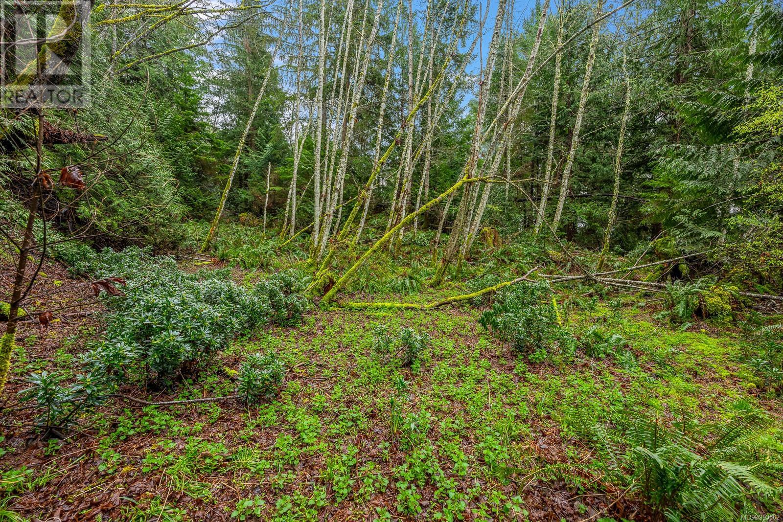 Lt 7 Glen Ghorm Rd Property Photo 17