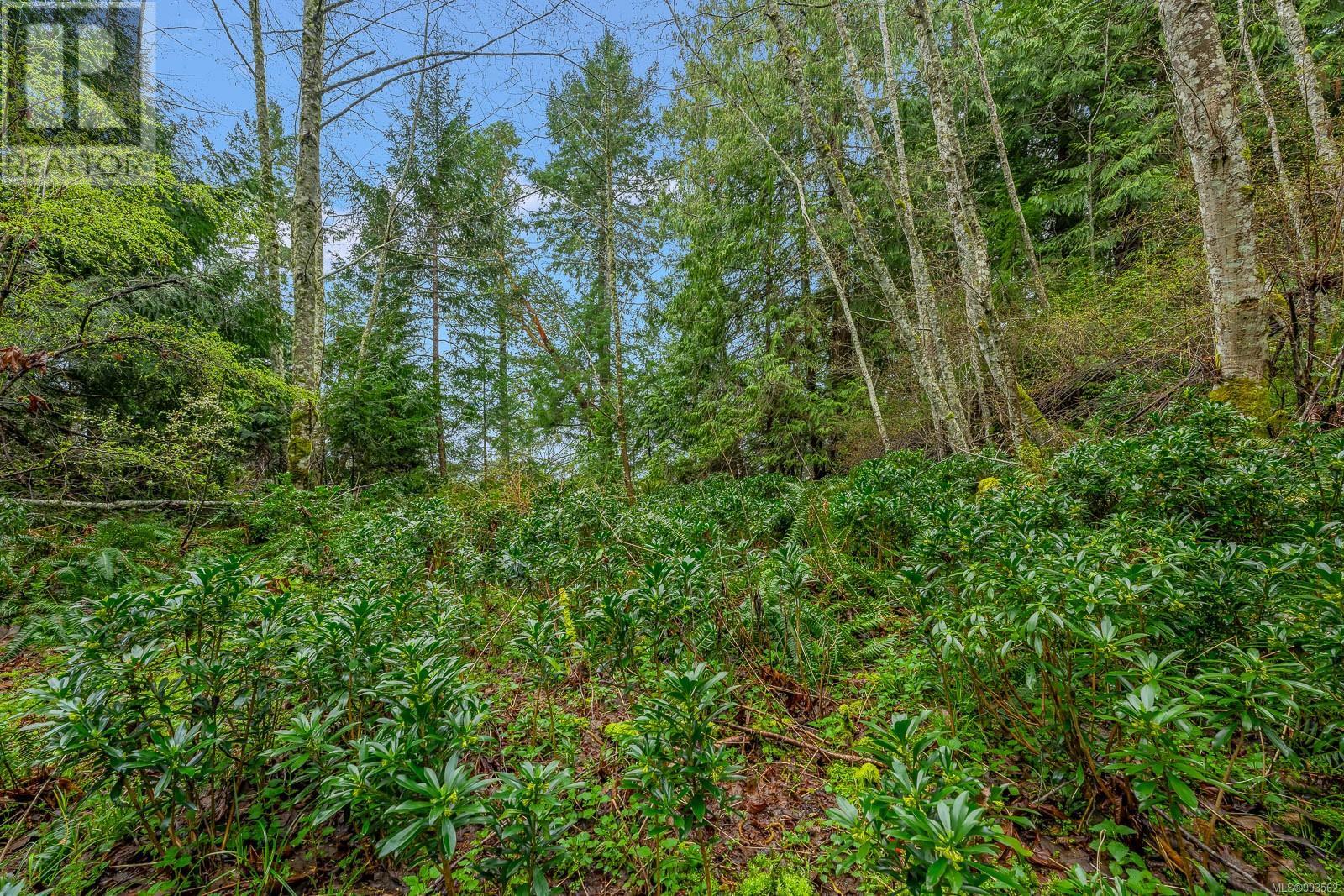 Lt 7 Glen Ghorm Rd Property Photo 18