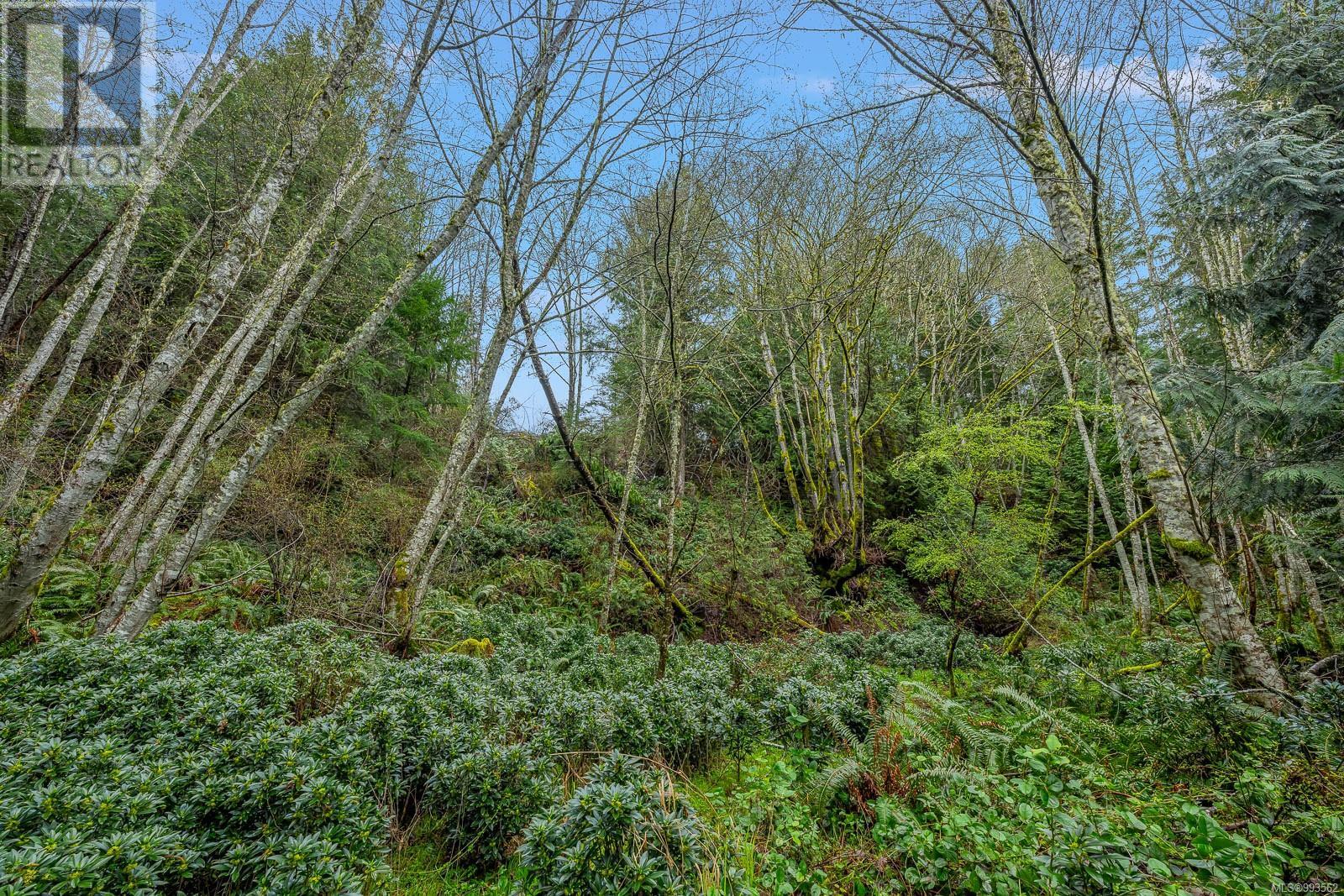 Lt 7 Glen Ghorm Rd Property Photo 22