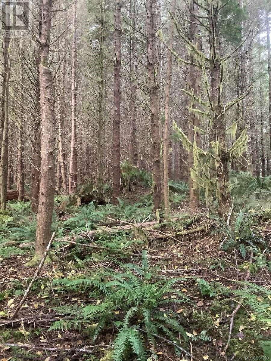 Dl 704 Bessborough Bay Property Photo 15