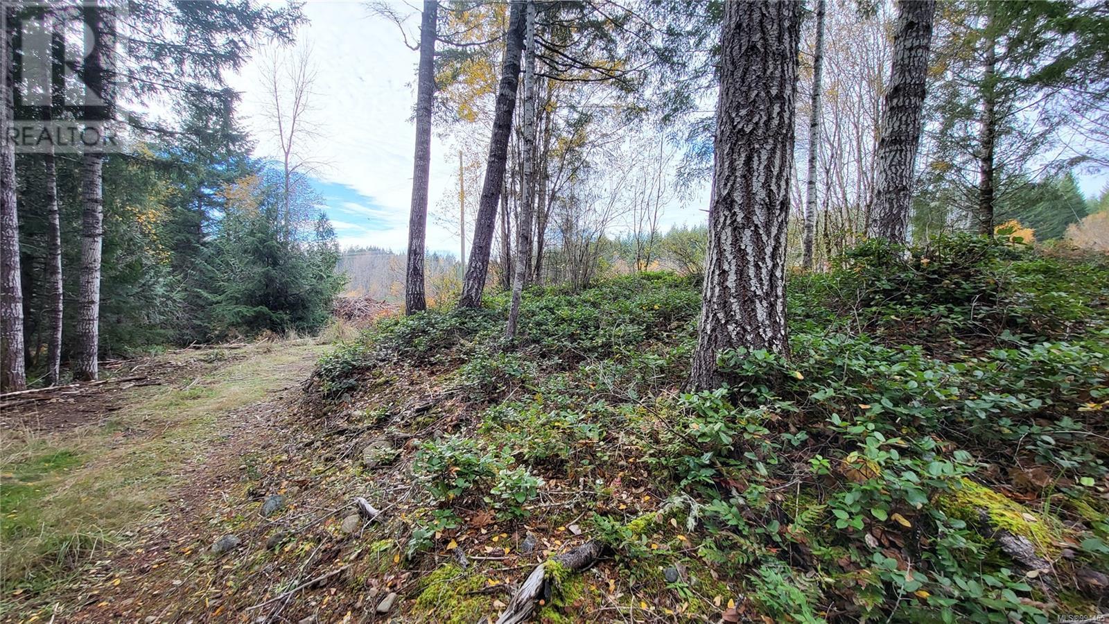 Lot 3 Cowichan Lake Rd Property Photo 1