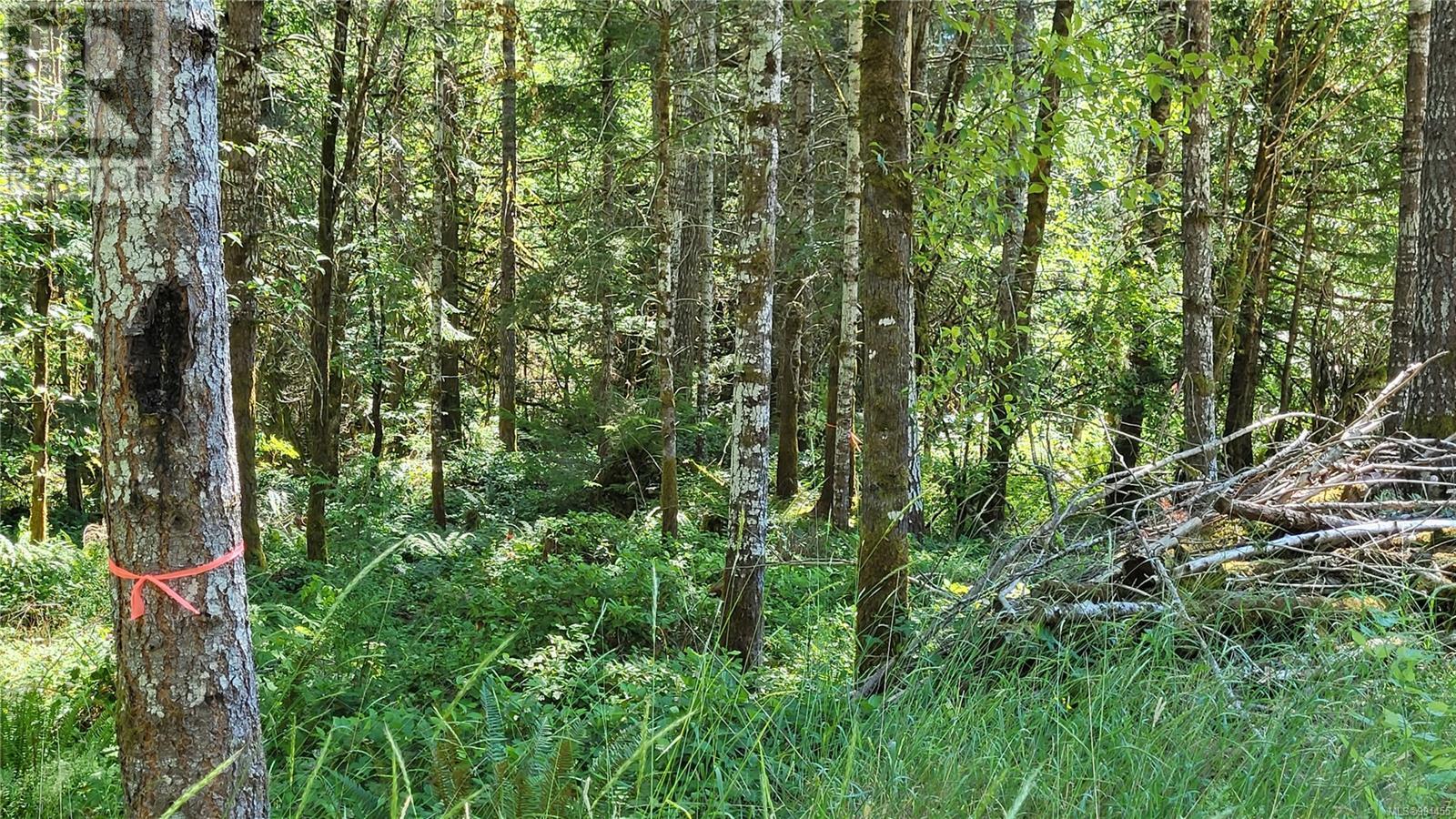 Lot 3 Cowichan Lake Rd Property Photo 2