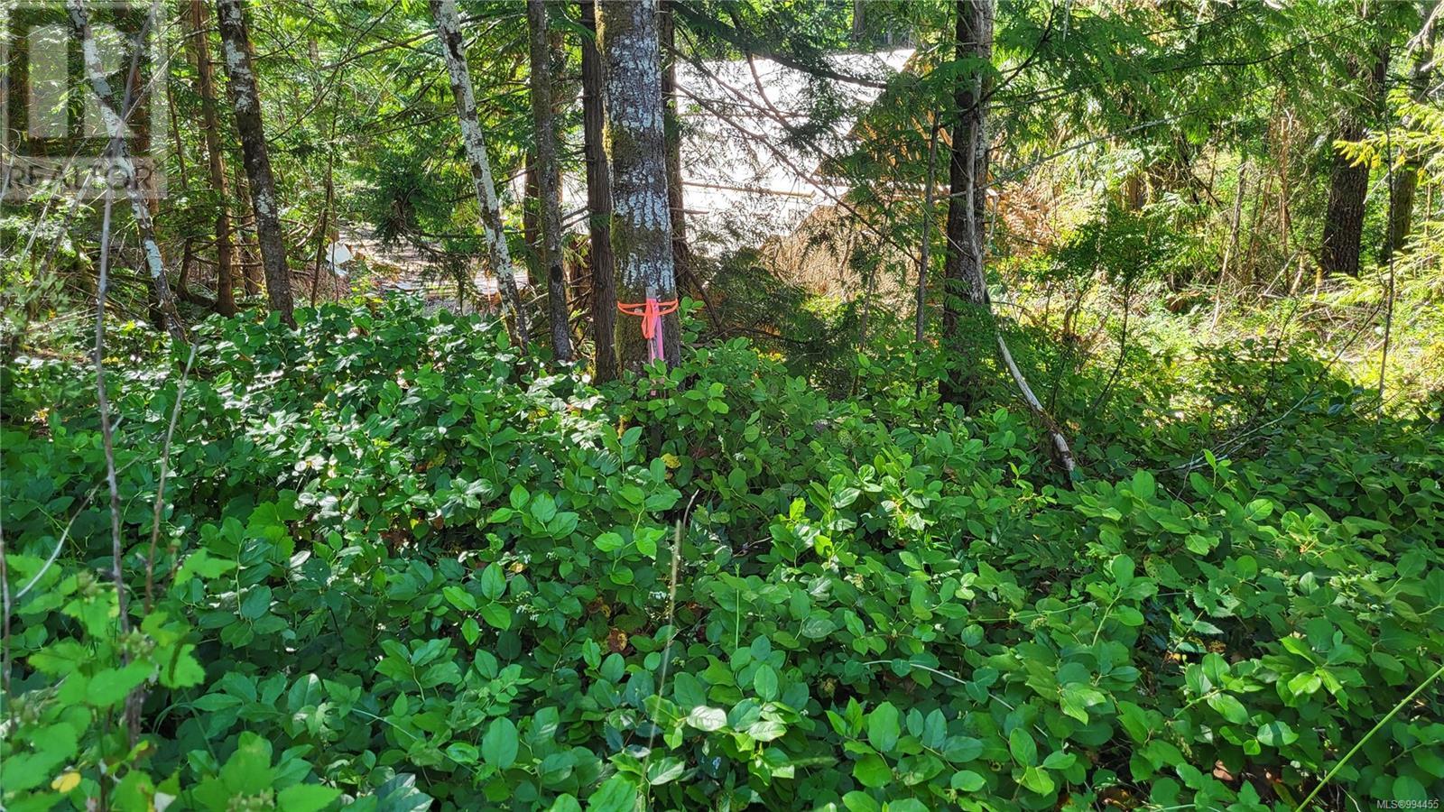 Lot 3 Cowichan Lake Rd Property Photo 3