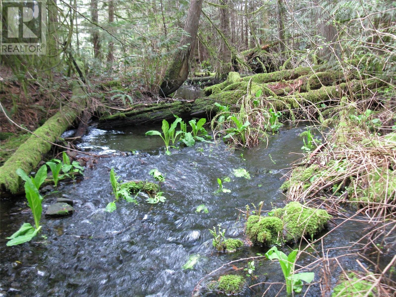 Lot 3 Cowichan Lake Rd Property Photo 4