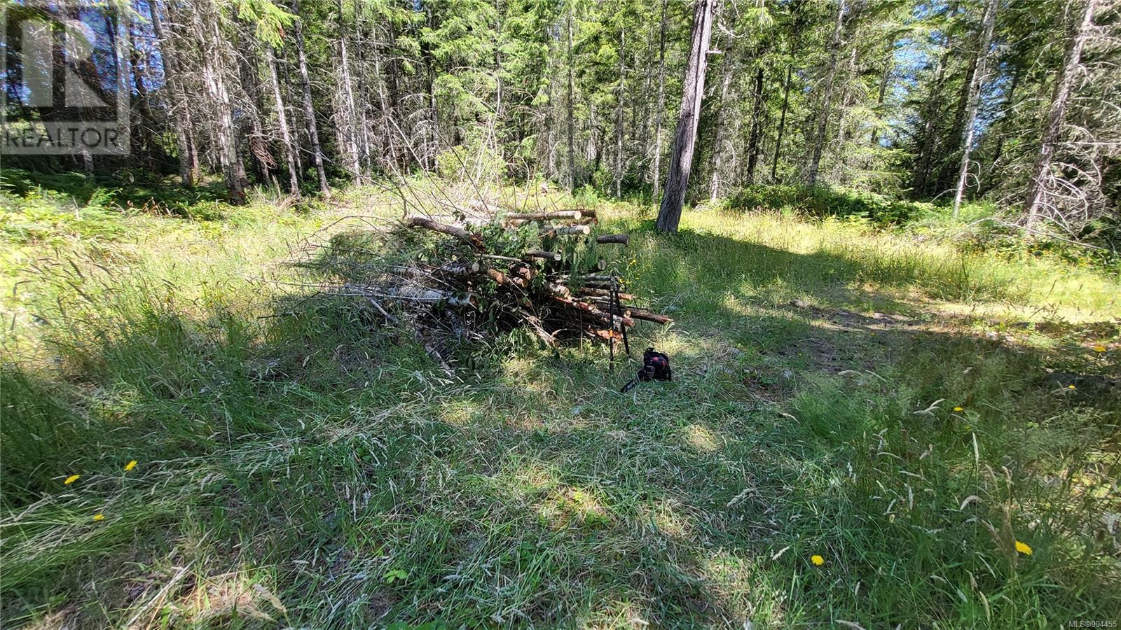 Lot 3 Cowichan Lake Rd Property Photo 5