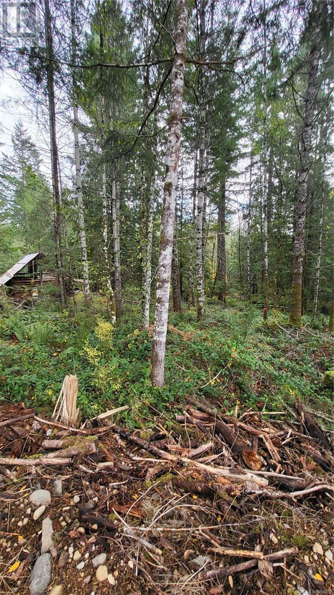 Lot 3 Cowichan Lake Rd Property Photo 6