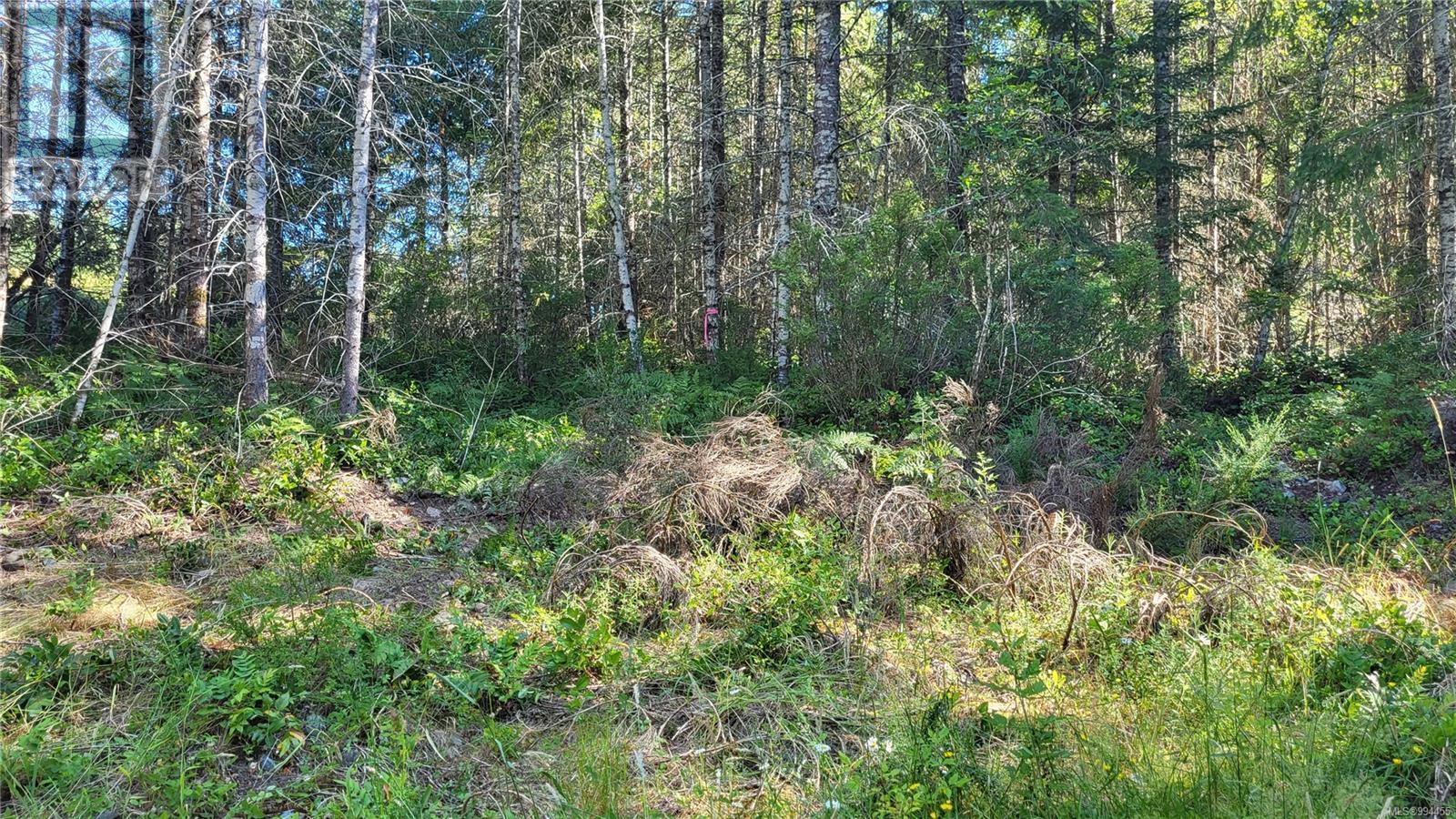 Lot 3 Cowichan Lake Rd Property Photo 8