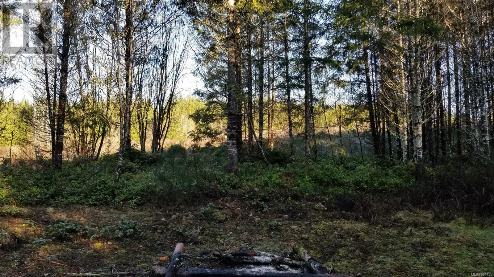 Lot 3 Cowichan Lake Rd Property Photo 10