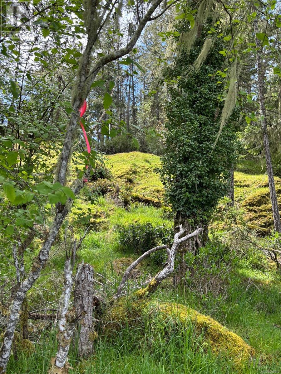 Lot 13 Seagirt Rd Property Photo 28